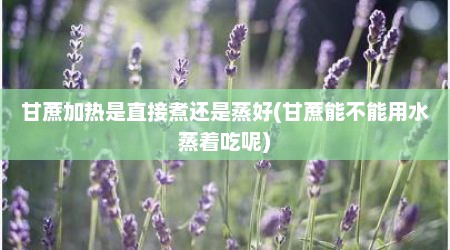 甘蔗加热是直接煮还是蒸好(甘蔗能不能用水蒸着吃呢)