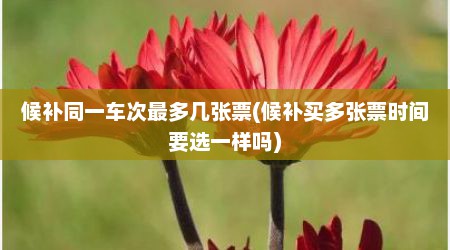 候补同一车次最多几张票(候补买多张票时间要选一样吗)