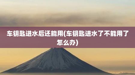 车钥匙进水后还能用(车钥匙进水了不能用了怎么办)