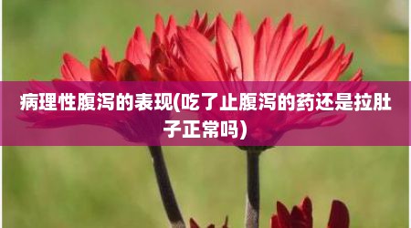 病理性腹泻的表现(吃了止腹泻的药还是拉肚子正常吗)