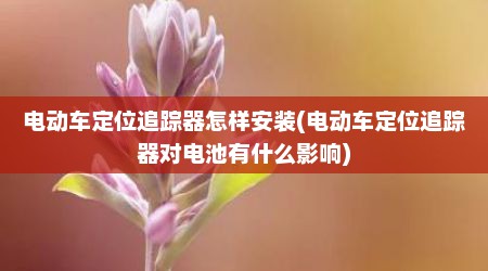 电动车定位追踪器怎样安装(电动车定位追踪器对电池有什么影响)
