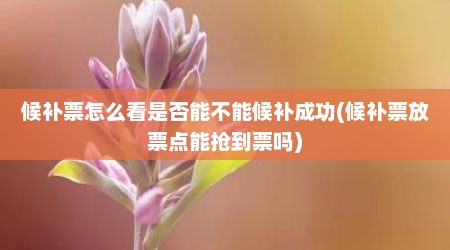 候补票怎么看是否能不能候补成功(候补票放票点能抢到票吗)