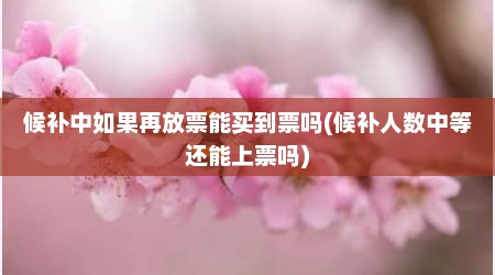 候补中如果再放票能买到票吗(候补人数中等还能上票吗)