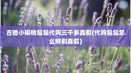 古驰小樱桃包包代购三千多真假(代购包包怎么辨别真假)