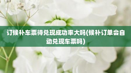 订候补车票待兑现成功率大吗(候补订单会自动兑现车票吗)