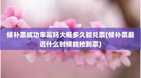 候补票成功率高吗大概多久能兑票(候补票最迟什么时候能抢到票)