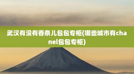 武汉有没有香奈儿包包专柜(哪些城市有chanel包包专柜)