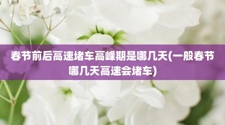 春节前后高速堵车高峰期是哪几天(一般春节哪几天高速会堵车)