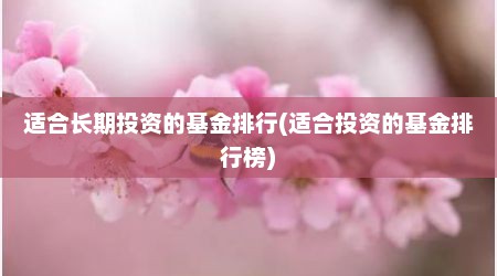 适合长期投资的基金排行(适合投资的基金排行榜)