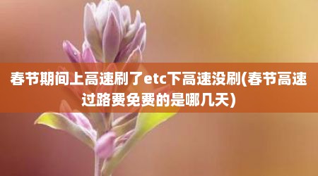 春节期间上高速刷了etc下高速没刷(春节高速过路费免费的是哪几天)