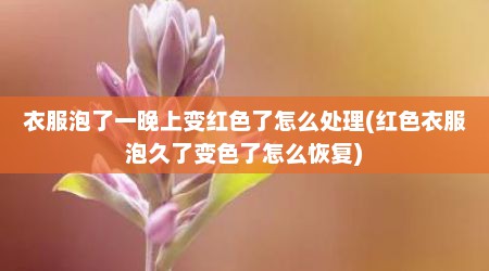 衣服泡了一晚上变红色了怎么处理(红色衣服泡久了变色了怎么恢复)