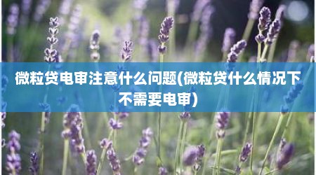 微粒贷电审注意什么问题(微粒贷什么情况下不需要电审)