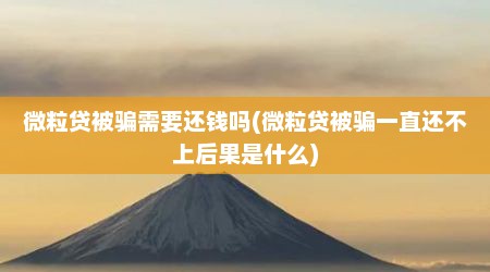 微粒贷被骗需要还钱吗(微粒贷被骗一直还不上后果是什么)