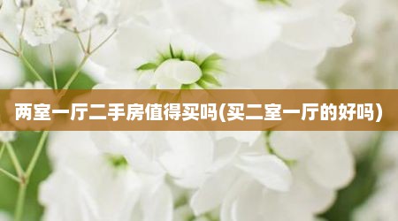 两室一厅二手房值得买吗(买二室一厅的好吗)