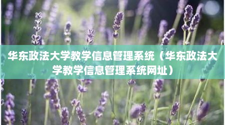 华东政法大学教学信息管理系统（华东政法大学教学信息管理系统网址）