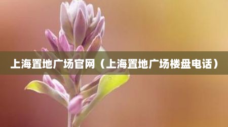 上海置地广场官网（上海置地广场楼盘电话）