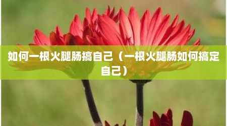 如何一根火腿肠搞自己（一根火腿肠如何搞定自己）