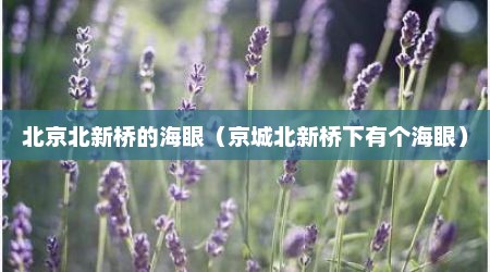 北京北新桥的海眼（京城北新桥下有个海眼）