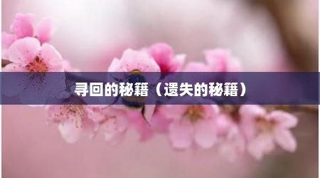 寻回的秘籍（遗失的秘籍）