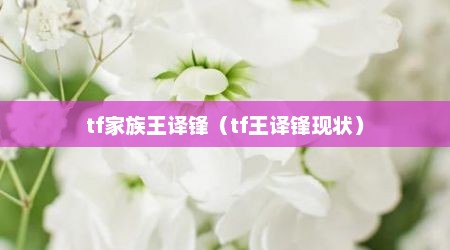 tf家族王译锋（tf王译锋现状）