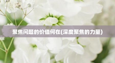聚焦问题的价值何在(深度聚焦的力量)