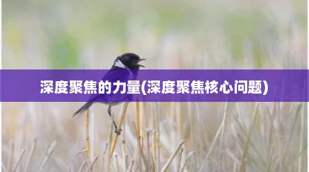 深度聚焦的力量(深度聚焦核心问题)