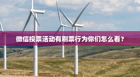 微信投票活动有刷票行为你们怎么看？