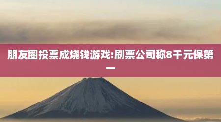 朋友圈投票成烧钱游戏:刷票公司称8千元保第一