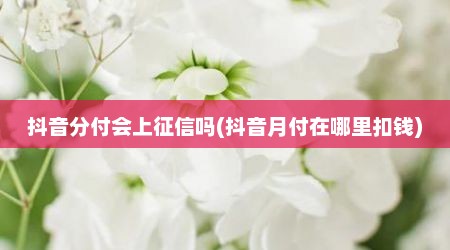 抖音分付会上征信吗(抖音月付在哪里扣钱)