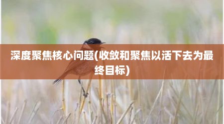 深度聚焦核心问题(收敛和聚焦以活下去为最终目标)