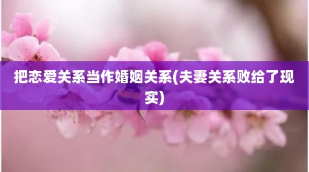 把恋爱关系当作婚姻关系(夫妻关系败给了现实)