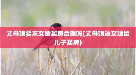 丈母娘要求女婿买房合理吗(丈母娘逼女婿给儿子买房)