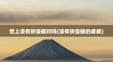 世上没有铁饭碗对吗(没有铁饭碗的婆婆)