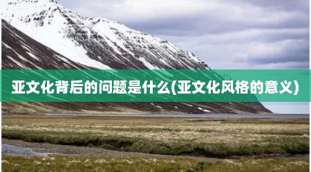 亚文化背后的问题是什么(亚文化风格的意义)