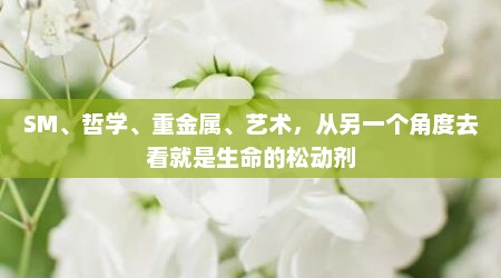 SM、哲学、重金属、艺术，从另一个角度去看就是生命的松动剂