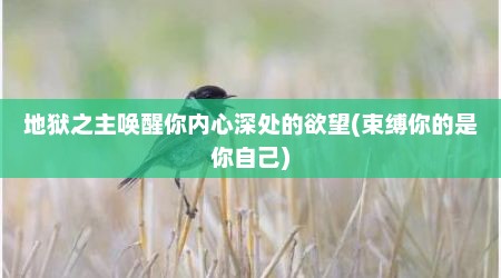 地狱之主唤醒你内心深处的欲望(束缚你的是你自己)