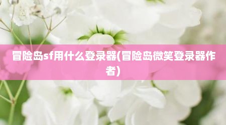 冒险岛sf用什么登录器(冒险岛微笑登录器作者)