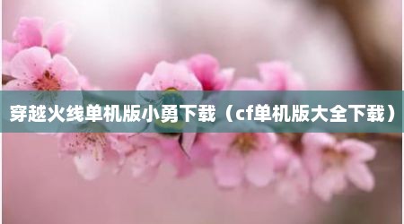 穿越火线单机版小勇下载（cf单机版大全下载）