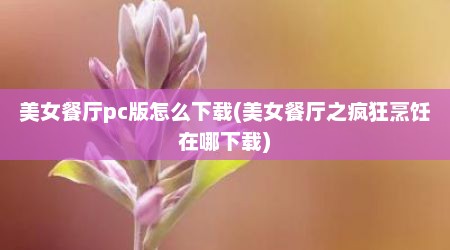 美女餐厅pc版怎么下载(美女餐厅之疯狂烹饪在哪下载)
