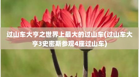 过山车大亨之世界上最大的过山车(过山车大亨3史密斯参观4座过山车)