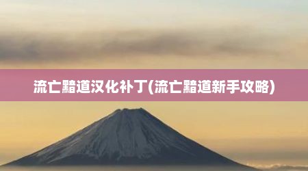 流亡黯道汉化补丁(流亡黯道新手攻略)