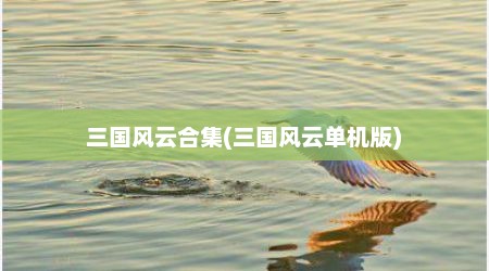 三国风云合集(三国风云单机版)