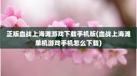 正版血战上海滩游戏下载手机版(血战上海滩单机游戏手机怎么下载)
