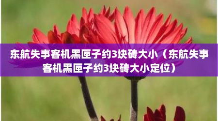 东航失事客机黑匣子约3块砖大小（东航失事客机黑匣子约3块砖大小定位）