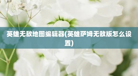英雄无敌地图编辑器(英雄萨姆无敌版怎么设置)
