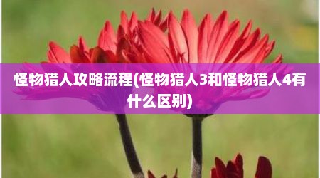 怪物猎人攻略流程(怪物猎人3和怪物猎人4有什么区别)