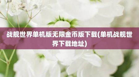 战舰世界单机版无限金币版下载(单机战舰世界下载地址)
