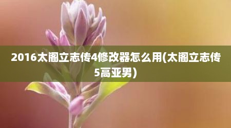 2016太阁立志传4修改器怎么用(太阁立志传5高亚男)