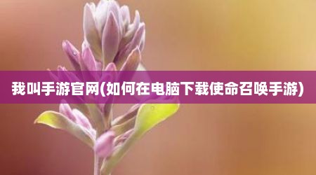 我叫手游官网(如何在电脑下载使命召唤手游)
