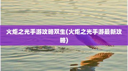 火炬之光手游攻略双生(火炬之光手游最新攻略)